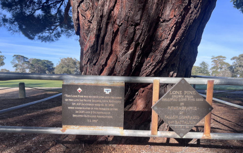Commemorative plaque by the Lone Pine descendant, Wattle Park, Melbourne, Victoria, Australia Lone Pine Descendants in Victoria
