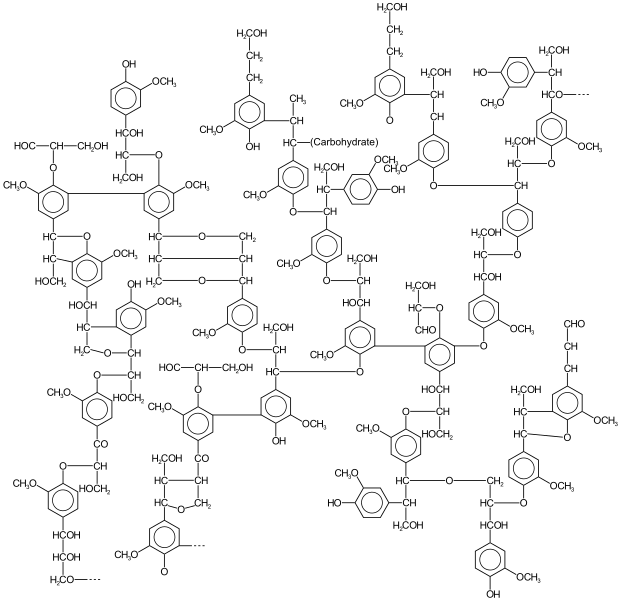 A possible lignin structure Jujube Tree Stems and Nodes
