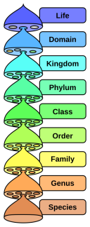 A Newly Discovered Deep-Soil Bacterial Phylum, CSP1-3