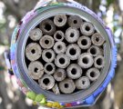 Bee hotel with resident(s)