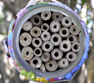 Bee Hotel Resident(s)!