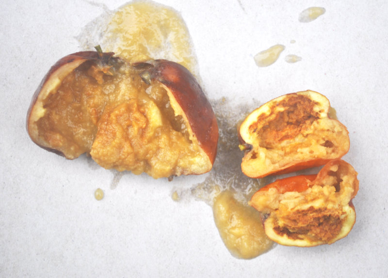 Completely ruined fruit from fruit fly infestation, 13th February 2020 Fruit Fly