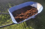 Coir (potting mix grade) expands when wetted
