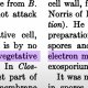 What a farce: "Vegetative Electron Microscopy"