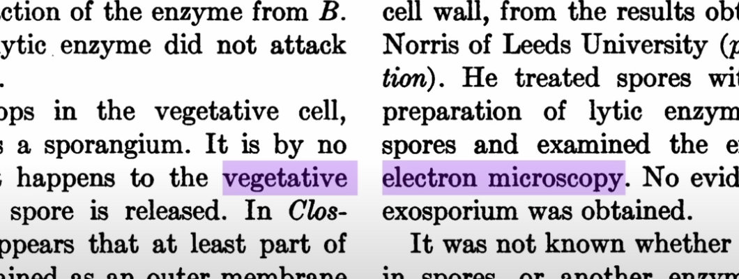 What a farce: "Vegetative Electron Microscopy" How AI Corrupts Science Even More: AI is Flooding Science with Fake Research