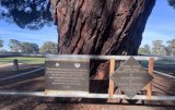 Commemorative plaques by the Lone Pine descendant, Wattle Park, Melbourne, Victoria, Australia