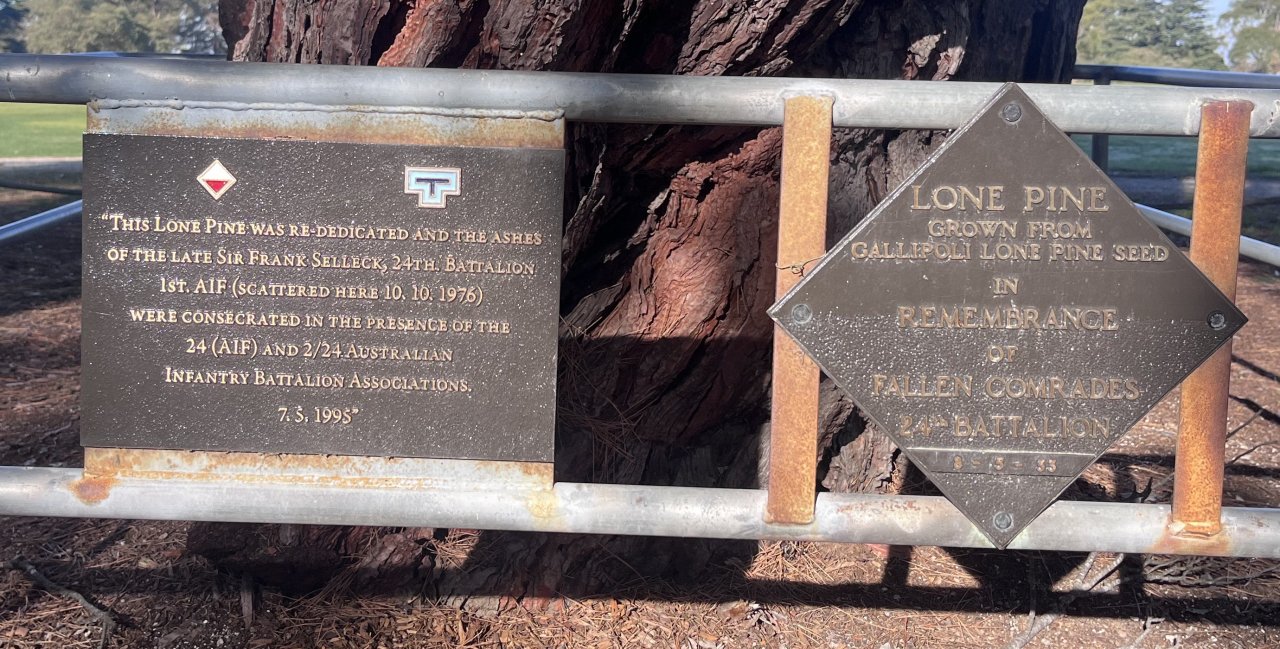 Commemorative plaque by the Lone Pine descendant, Wattle Park, Melbourne, Victoria, Australia Lone Pine Descendants in Victoria