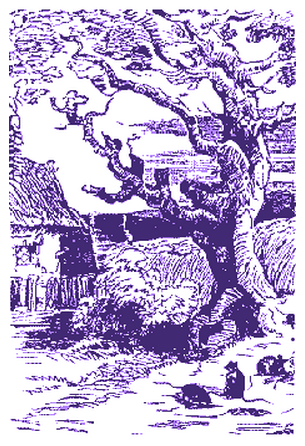 Do you see the cat? My Take on the Carbon Dioxide Narrative: Introduction