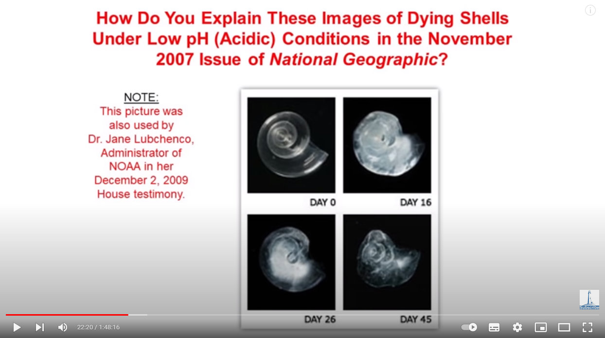 Shells dissolving in acid My Take on the Carbon Dioxide Narrative: Part 2 Extended