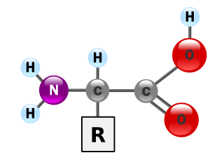 Essential Macronutrients: Nitrogen (N)