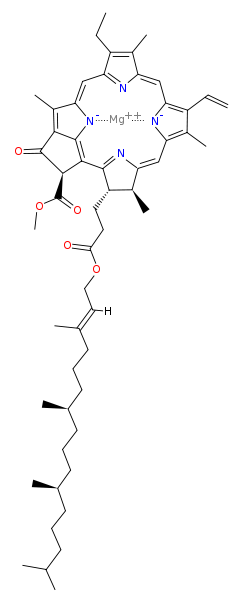Chlorophyll a Essential Macronutrients: Magnesium (Mg)