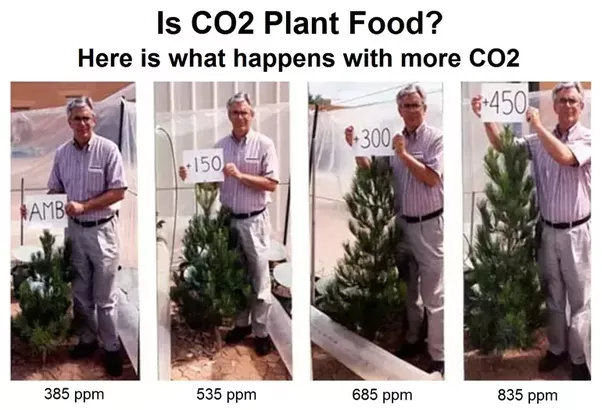 Is CO2 plant food? Here is what happens with more CO2 On Carbon Dioxide