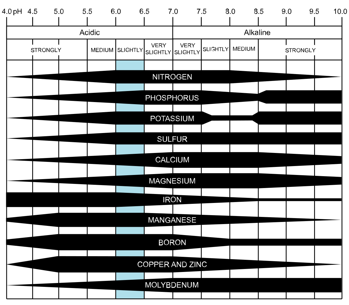 Soil pH Effect on Plant Nutrient Availability Soil Properties