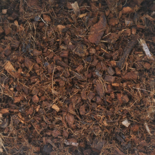 Coir medium Photo Journal: Roots Need Air!