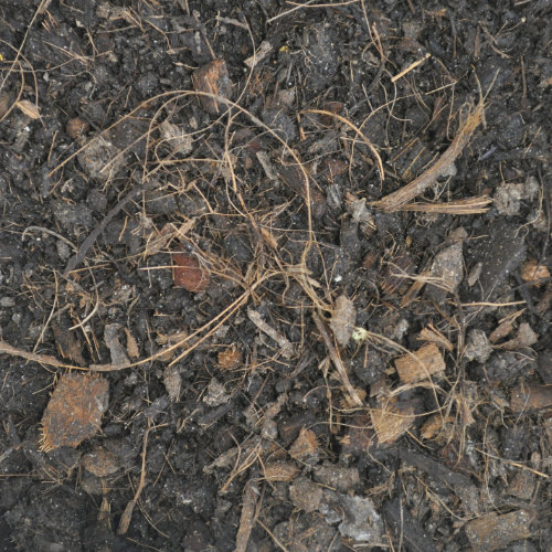 Moist medium Photo Journal: Roots Need Air!