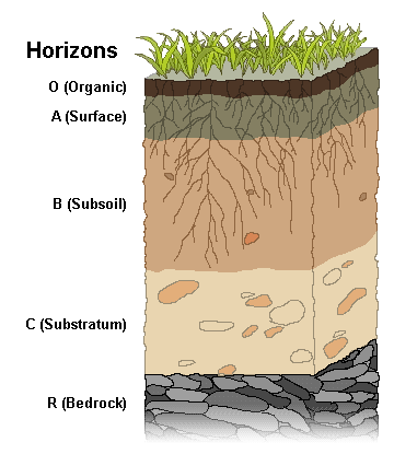 Soil Structure: Soil Horizons