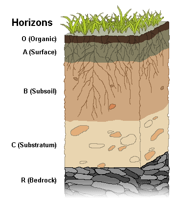 Soil Horizons Soil Structure: Soil Horizons