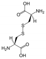 Two cysteine amino acids joined together by a disulfide bridge
