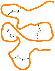 Essential Macronutrients: Sulfur (S)